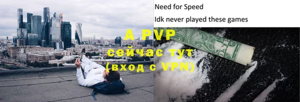 PSILOCYBIN Нефтегорск