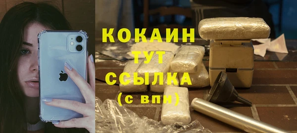 PSILOCYBIN Нефтегорск