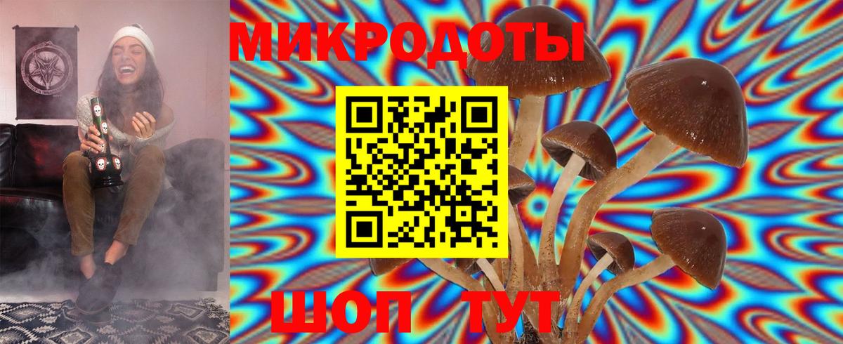 Красноярск  Галлюциногенные грибы Magic Shrooms  Вход с VPN  Псилоцибиновые грибы Magic Shrooms 